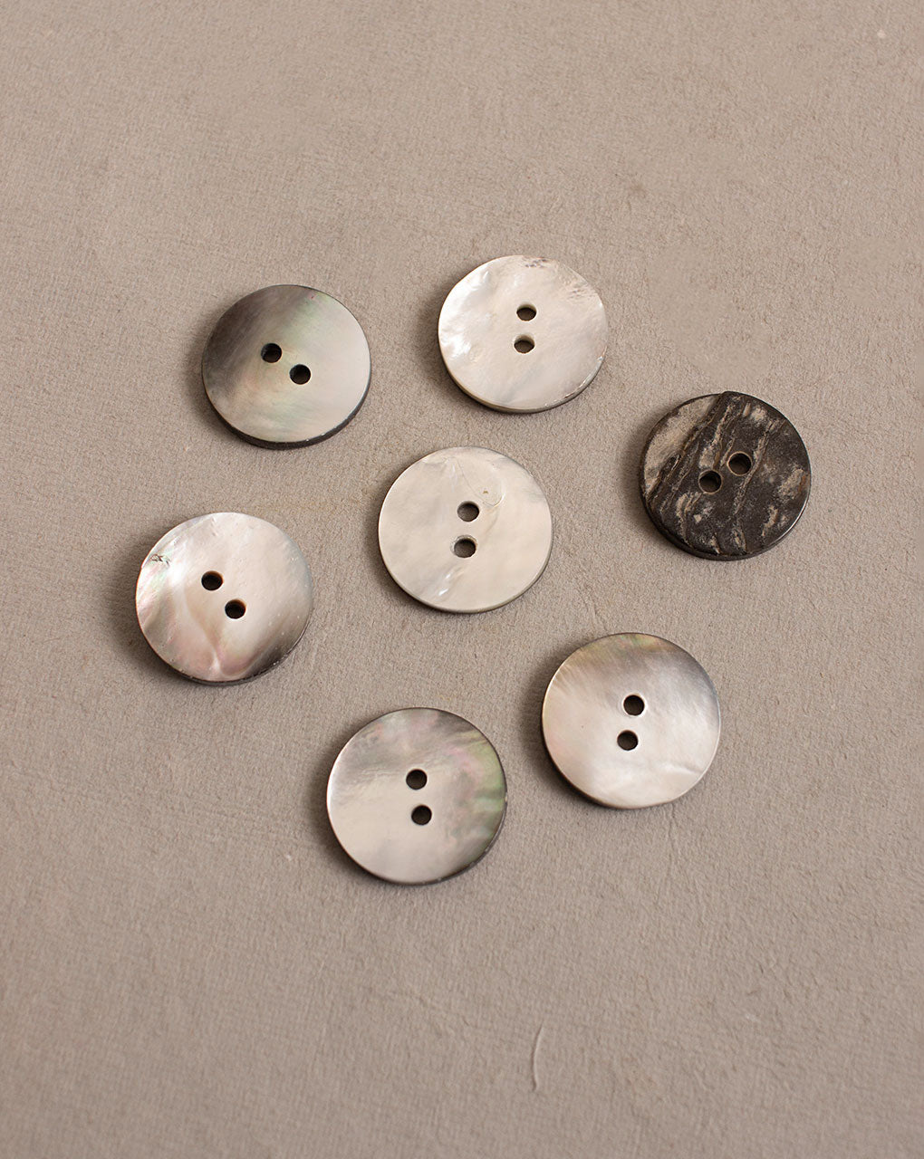 Shell Button ( Set Of 6 ) - Fabriclore.com