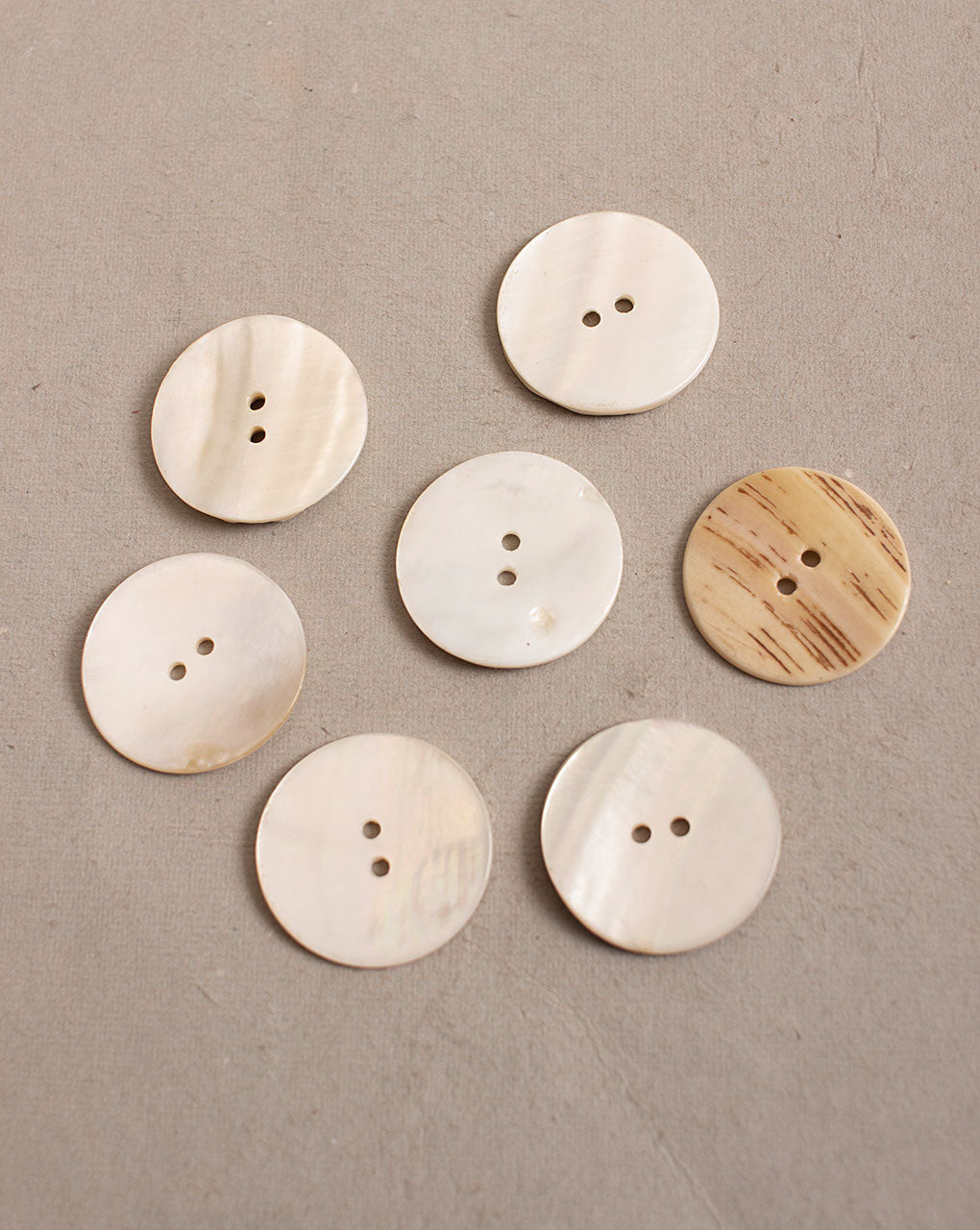 Shell Button ( Single Piece ) - Fabriclore.com