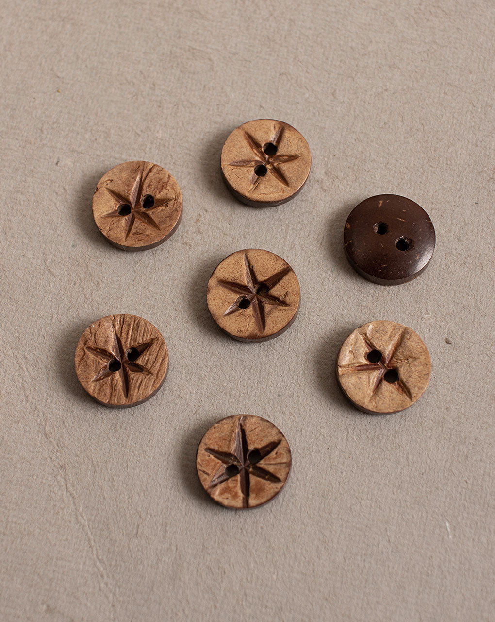 Coconut Button ( Set Of 6 ) - Fabriclore.com