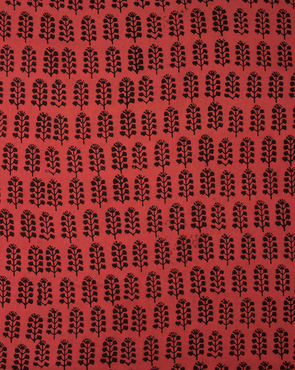 Hand Block Bordered Bagh Print Cotton Fabric - Fabriclore.com